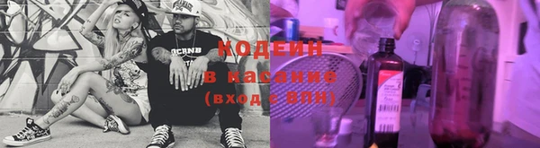 apvp Нея