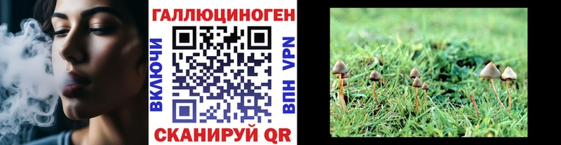 купить наркоту  Ладушкин  Псилоцибиновые грибы Psilocybine cubensis 